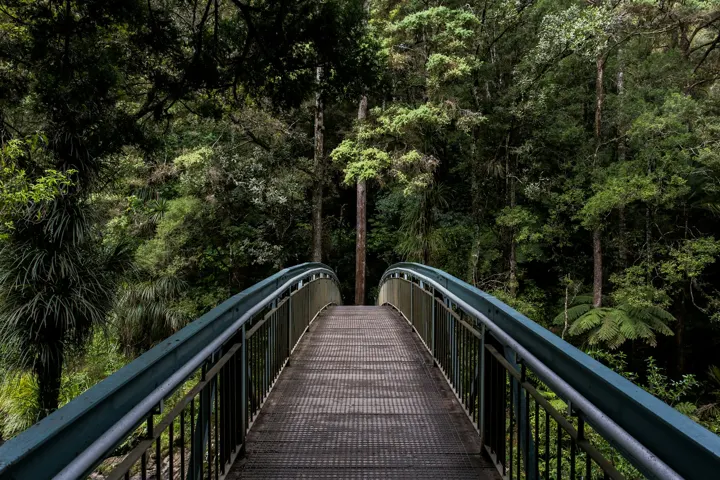 A wooden footbridge crossing water beneath dense green trees