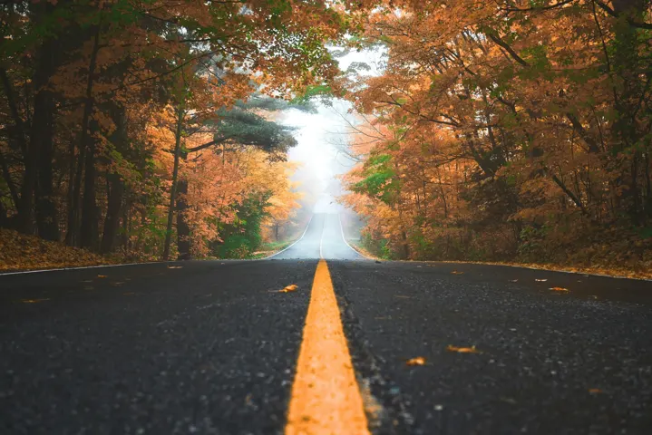 A quiet road lined with trees in orange and golden autumn foliage